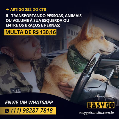 Leia mais sobre o artigo Multa por dirigir transportando animais ou volume à sua esquerda ou entre os braços e pernas