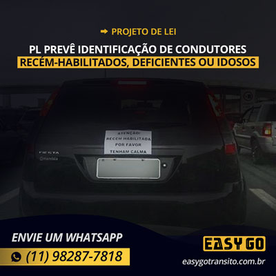 Leia mais sobre o artigo PL prevê identificação de condutores recém-habilitados, deficientes ou idosos