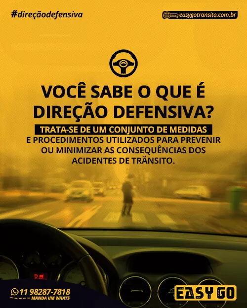 direcao defensiva easy go